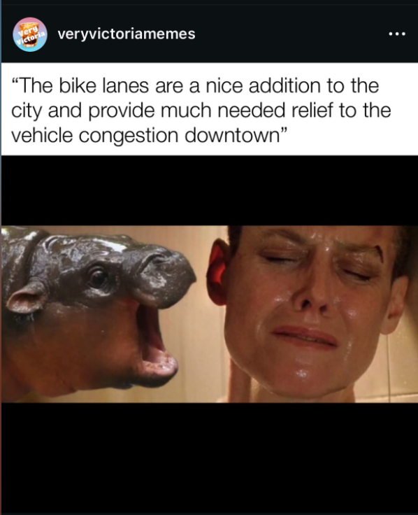 moo deng bike lane meme